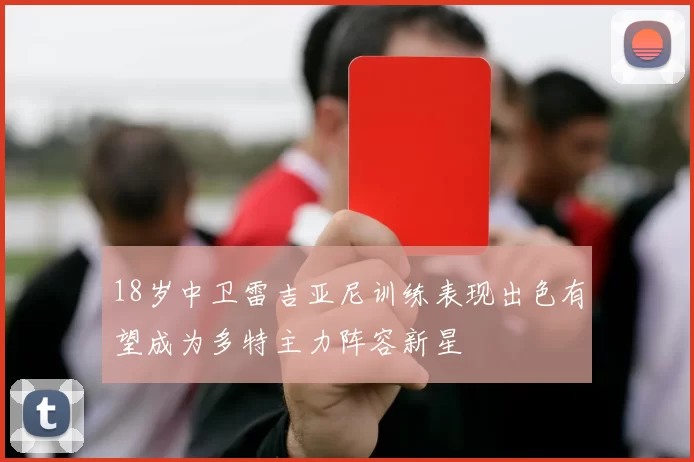18岁中卫雷吉亚尼训练表现出色有望成为多特主力阵容新星