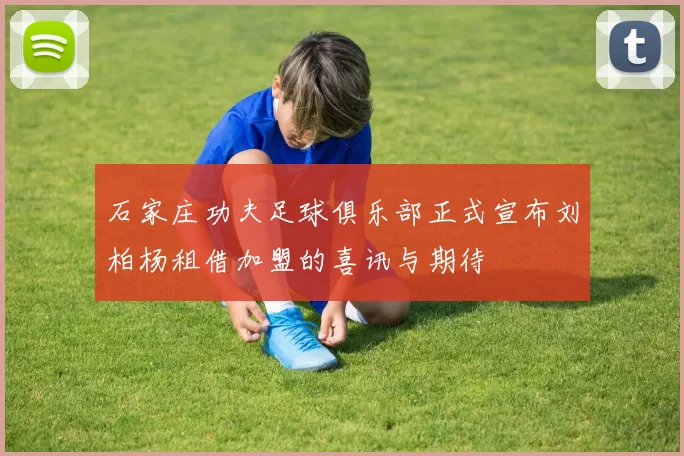 石家庄功夫足球俱乐部正式宣布刘柏杨租借加盟的喜讯与期待